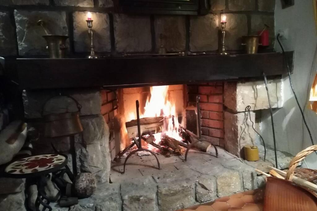 Villa Kornelija Stari Slankamen Zewnętrze zdjęcie