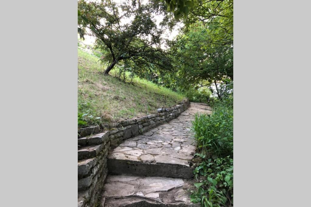 Villa Kornelija Stari Slankamen Zewnętrze zdjęcie