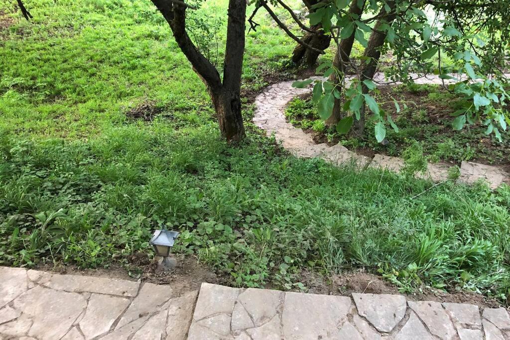 Villa Kornelija Stari Slankamen Zewnętrze zdjęcie