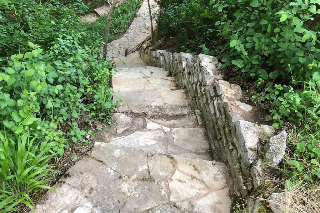 Villa Kornelija Stari Slankamen Zewnętrze zdjęcie