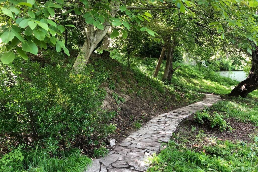 Villa Kornelija Stari Slankamen Zewnętrze zdjęcie