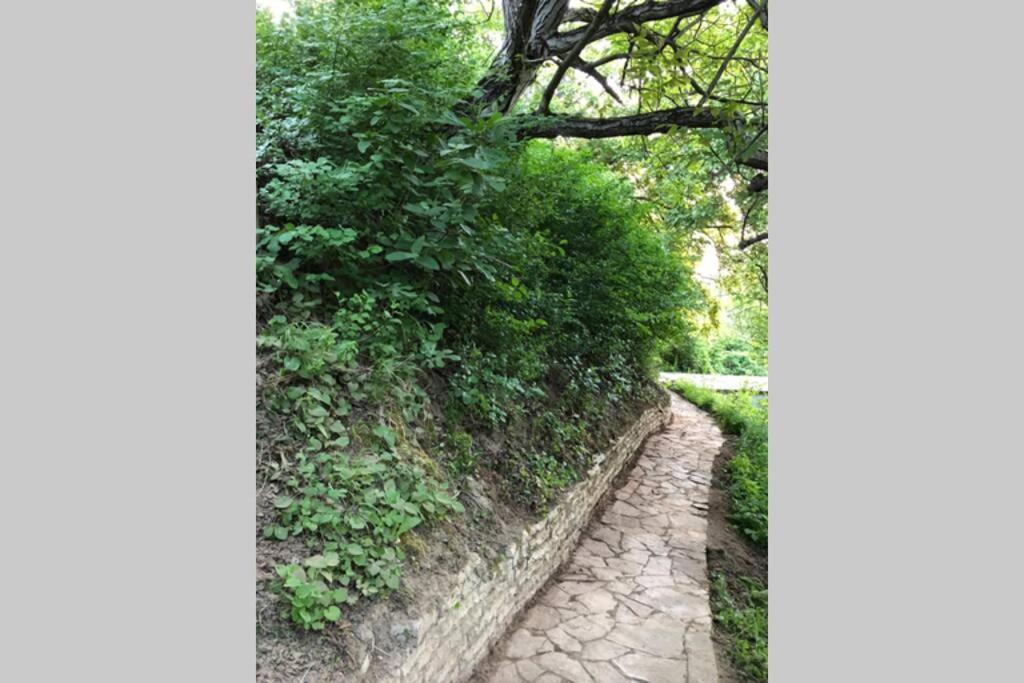 Villa Kornelija Stari Slankamen Zewnętrze zdjęcie
