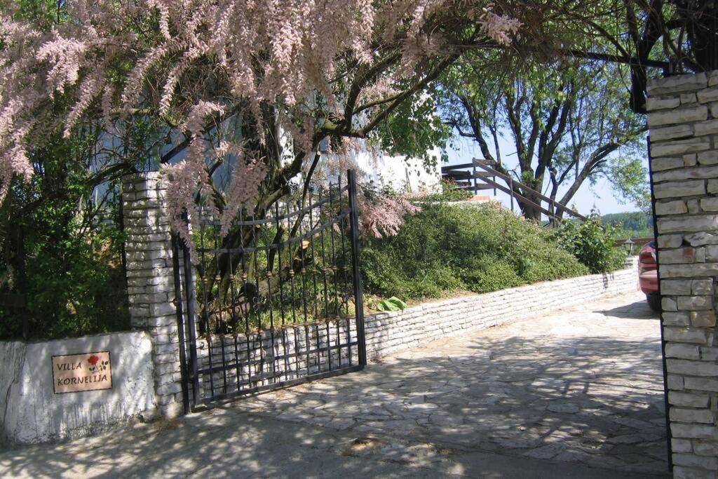 Villa Kornelija Stari Slankamen Zewnętrze zdjęcie