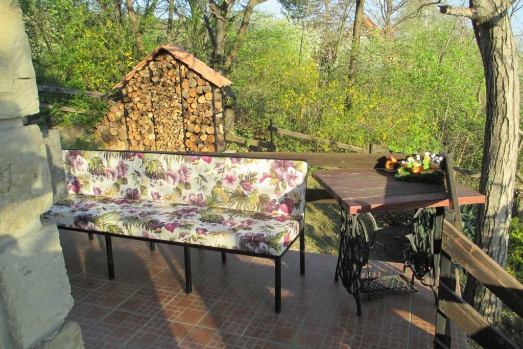 Villa Kornelija Stari Slankamen Zewnętrze zdjęcie
