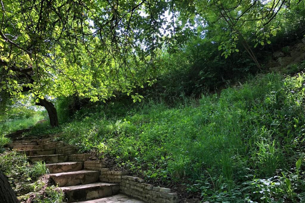 Villa Kornelija Stari Slankamen Zewnętrze zdjęcie