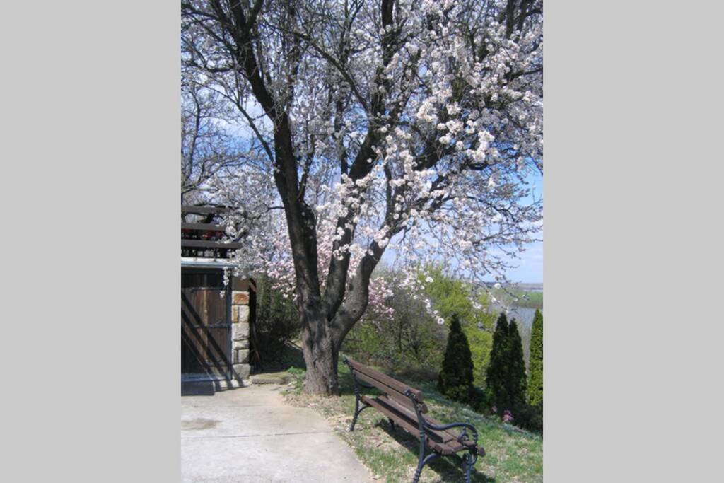 Villa Kornelija Stari Slankamen Zewnętrze zdjęcie